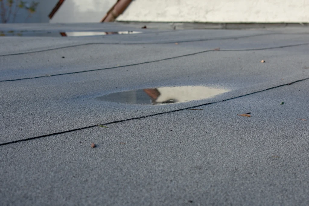 water pooling on roof